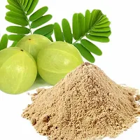 VS Products Amla Powder | Nellikai Power | Indian Gooseberry Powder, 400g-thumb3