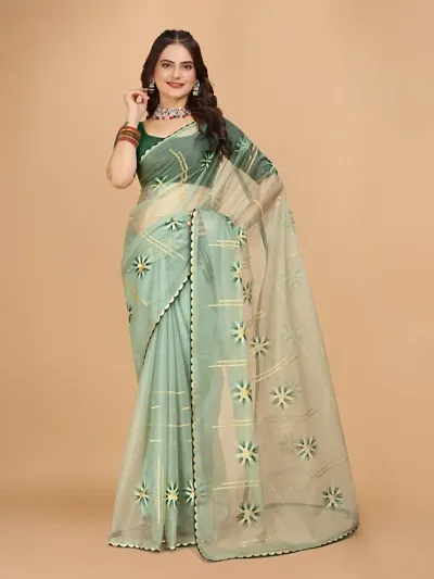 Organza Embroidered Lace Border Sarees with Blouse Piece