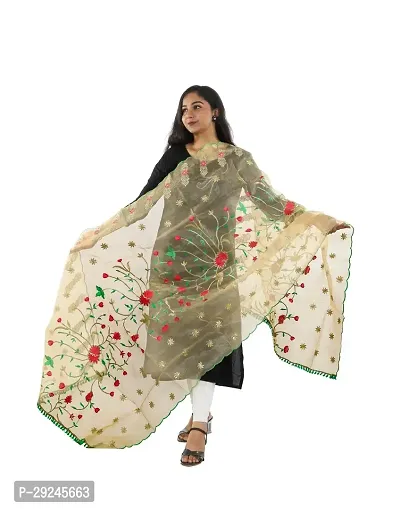 Stylish Beige Organza Dupattas For Women-thumb3