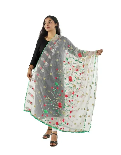 Stylish Organza Dupattas For Women