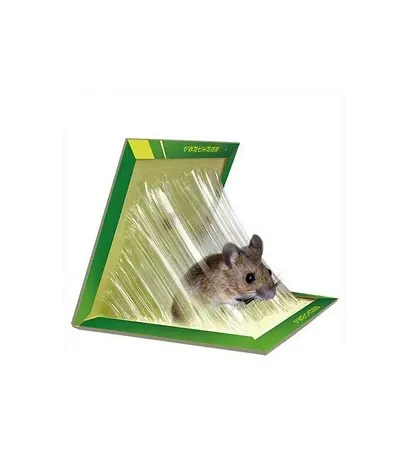 Rat glue trap — Vikaspedia