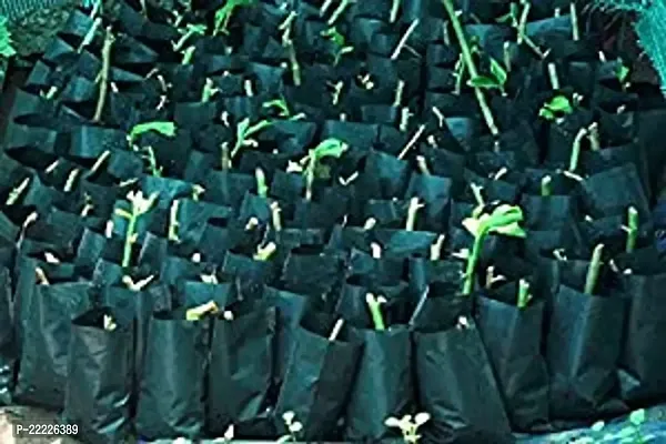 India Plastic Grow Bags, for Garden And Gardening, Green Leafy Vegetable, Nursery, Use at Home, Terrace, Kitchen, Rooftop, Support Plant, And Saplings, Flat, Pack of 100, Black