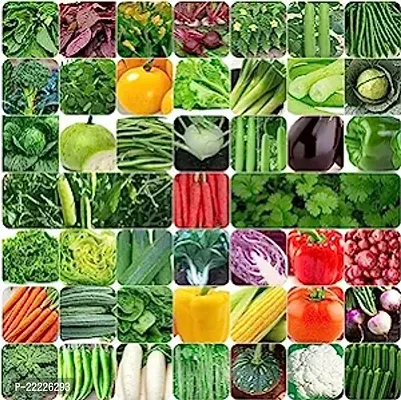 GROW DELIGHT 45 Varieties of Vegetable Seeds for Home Garden, Organic And Hybrid, Perfect for Home Gardening, Planting For Pots and Patio, Wide Variety of Vegetables (2000 Seeds)