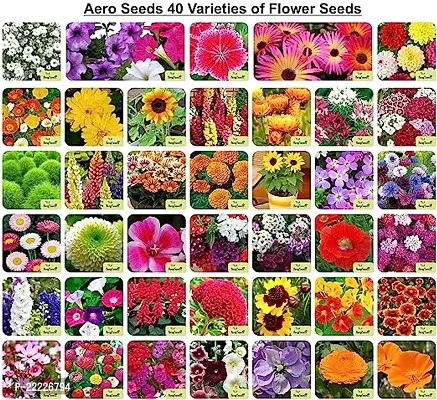 Aero Seeds 40 Varieties of Flower Seeds Combo For Your Garden Beautiful Bloom Germination Seeds.