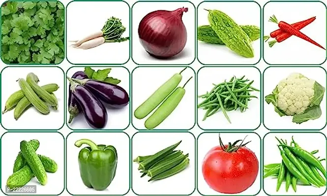 15 Variety Of Vegetable Seeds Combo Pack With Instruction Manual