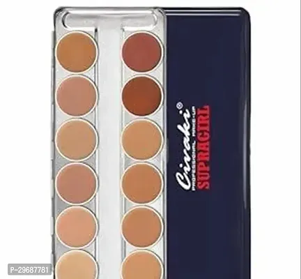 Long Lasting 12 in 1  Foundation Palette for All Skin Types