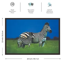 Mad Masters Zebra Wall Paintings-thumb1