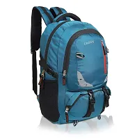 Women High Qulity Sequance Multipurpose Backpack Handbag Purse, Travel Backpack Shoulder Bag for Ladies and Girls-BP1023-thumb3