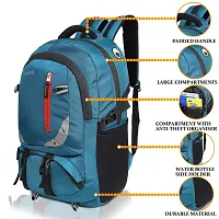 Women High Qulity Sequance Multipurpose Backpack Handbag Purse, Travel Backpack Shoulder Bag for Ladies and Girls-BP1023-thumb2