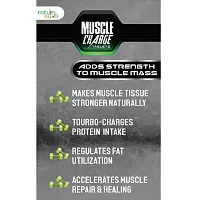 Nature Sure Muscle Charge Tablets For Strength & Protein Absorption - 1 Pack (60 Tablets)-thumb4