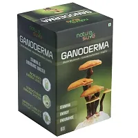 Nature Sure Ganoderma LingZhi Reishi Mushroom Capsules For Stamina In Men & Women - 1 Pack (60 Capsules)-thumb3