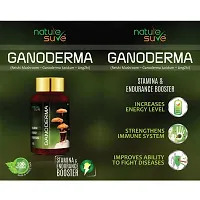 Nature Sure Ganoderma LingZhi Reishi Mushroom Capsules For Stamina In Men & Women - 1 Pack (60 Capsules)-thumb1