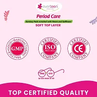 everteen Period Care XL Soft 40 Sanitary Pads Enriched with Neem and Safflower For Medium Flow - 1 Pack (40 Pads)-thumb3