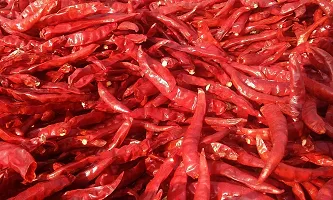 LJL Traders Red Chilli / Lal Mirch - Stemless Hot Dried Red Chilli /Sabut lal Mirch/ Red Chilli Whole (Product of Kerala) 300 gm-thumb3