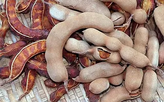 LJL Traders Seedless Dried Tamarind Whole/Imli इमली / Product of Kerala/Imli Guda - 450 g-thumb1