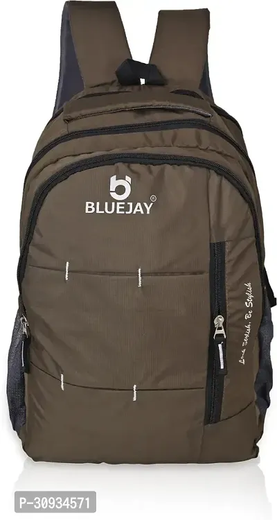 Bluejay Polyster Laptop Backpack