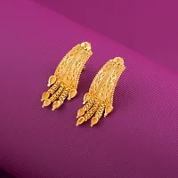 Exclusive Earrings Combo Of 2 For Girls And Womens Design By Delfa-thumb1