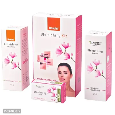 Nandini BLEMISHING Facial Kit For Man and Women,110gsm (Pack of 2)-thumb2