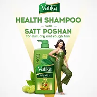 Dabur Vatika Health Shampoo - 640ml | With 7 natural ingredients | For Smooth, Shiny  Nourished Hair | Repairs Hair damage, Controls Frizz | For All Hair Types | Goodness of Henna  Amla-thumb1