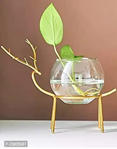 India Glass Planter Holder Deer |Glass Pot| Glass Flower Pot| Glass Flower Round Vase Handmade for Decorate House (Set of 2) (Gold)-thumb0