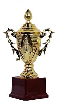 Trophies for Party Celebrations Ceremony Appreciation Gift Sport Academy Awards for Teachers and Students-thumb2