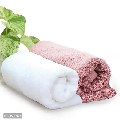 Classic Cotton Hand Towels Pack of 2