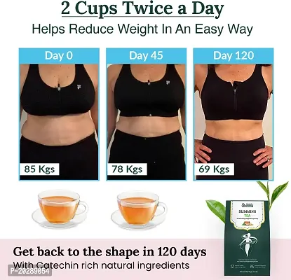 Healofy Naturals Slimming Tea for Weight Loss | A Blend of Natural Antioxidants and Herbs Lemon Grass Herbal Tea Pouch-thumb2