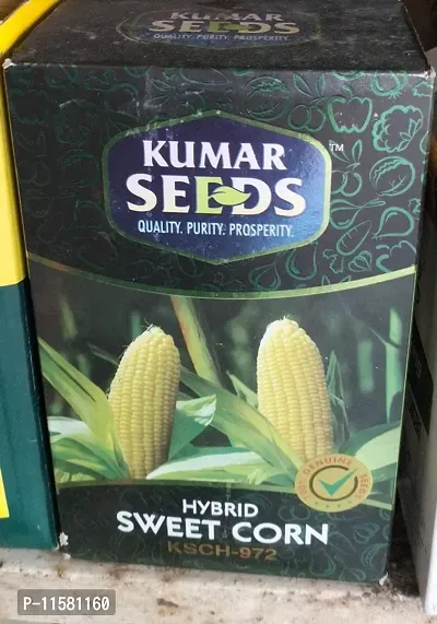 Kumar SweetCorn Seed