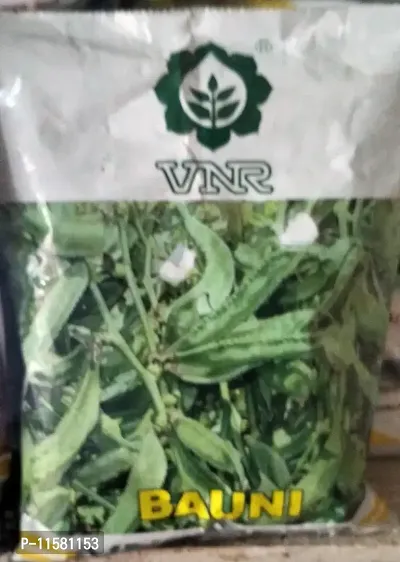 Vnr Fresh Chilly (Mirch) Hybrid Vegetable Original Seed