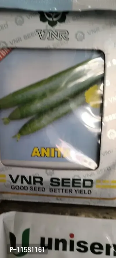 VNR Veg Seed