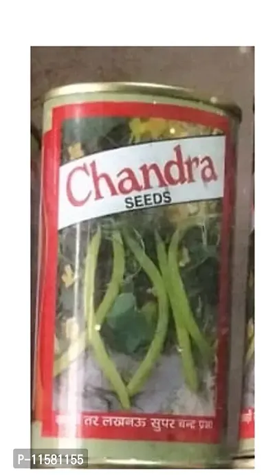 Tar Kakdi Chandra Seeds