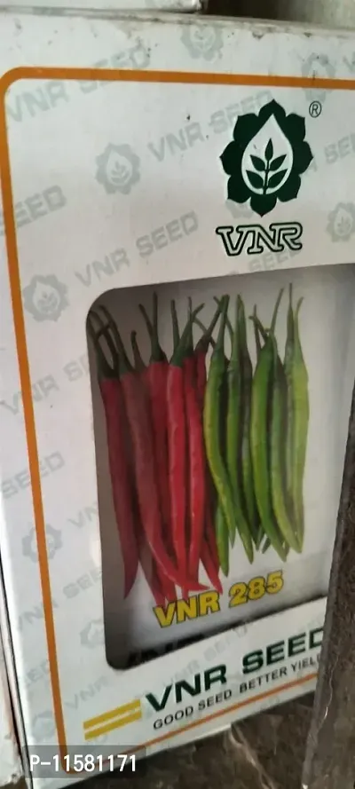 VNR Chilli Seed