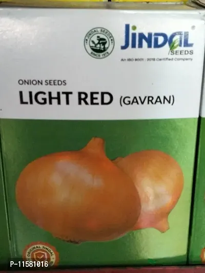 Onion - Jindal Light Red