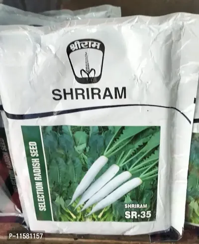 ShriRam Radish Seed