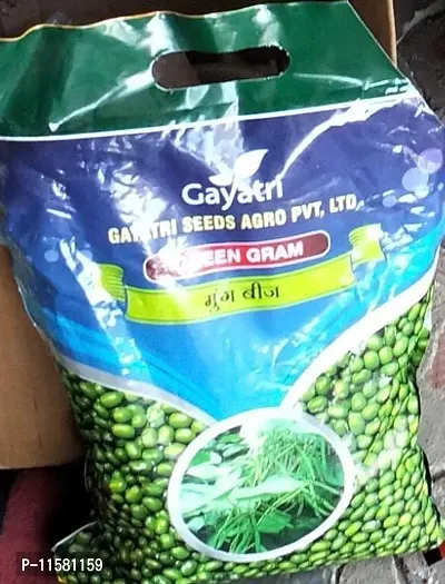 Gayatri Seeds