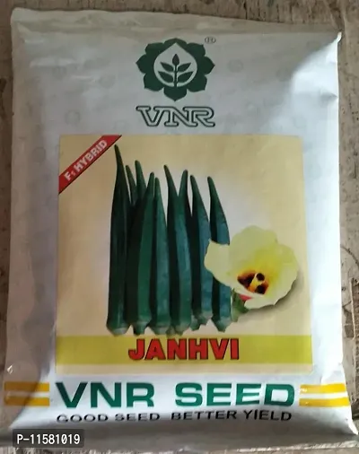 Go Green Vnr Okra Seed-thumb0