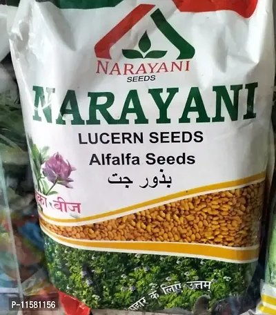 Narayani Lucern Seeds