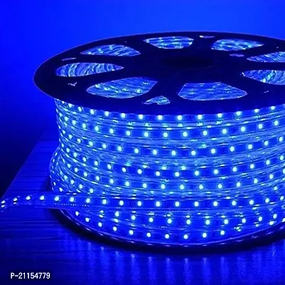 ENRICHOUR HOME - ERH Rice Light for Decoration | Rope Light for Ceiling | led Rope Light 5 Meter | Rope Lights for Decoration with Adapter (5 Meter, Blue)