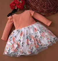 PAMBERSTON Baby Girl Dress Toddler Dress Long Sleeve Infant Casual Dress Ruffle Print Clothes Baby Girls Clothing-thumb2