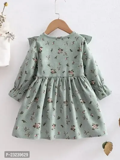 PAMBERSTON Toddler Kids Infant Baby Girls Spring Fall Dress Casual Long Sleeve Floral Printed-thumb5