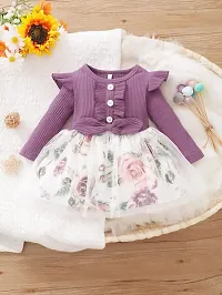 PAMBERSTON Baby Girl Dress Toddler Dress Long Sleeve Infant Casual Dress Ruffle Print Clothes Baby Girls Clothing-thumb1