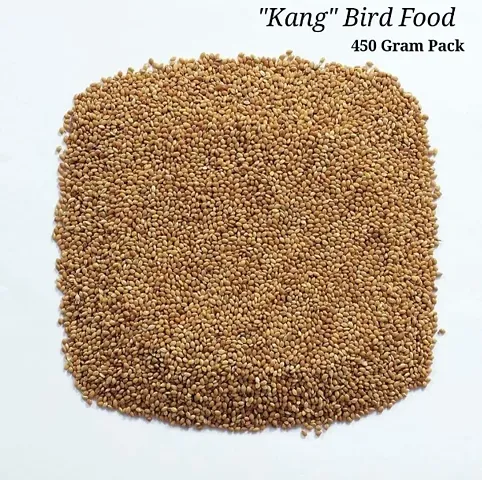 Bird Food- 450 Grams