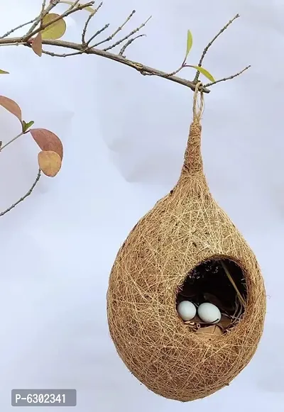Designer Huts For Birds
