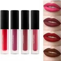 Harshits 4 Pcs Matte Finish Liquid Lipstick Pack (Red Edition, 16 Ml) 1 pcs-thumb1
