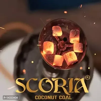 SCORIA (100% Nicotine and Tobacco Free) Mouth Tip Filter Scoria Coconut Coal (Double Apple, Paan Kiwi MInt, Kesar Paan, , BF, Chocolate, Dubai Special) Hookah Flavor  (650 g, Pack of 8)-thumb3