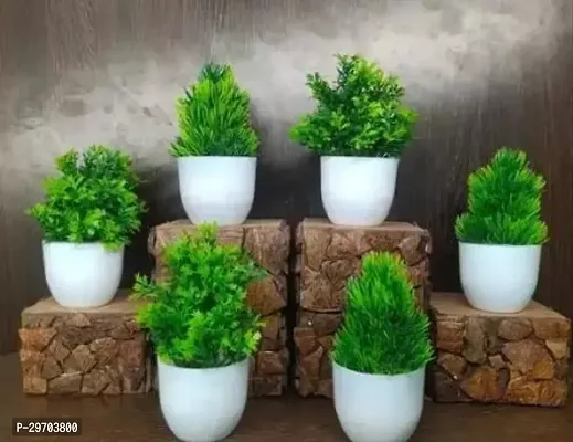 Beautiful Artificial Plant With Pot For Interior Decoration Pack Of 6-thumb0