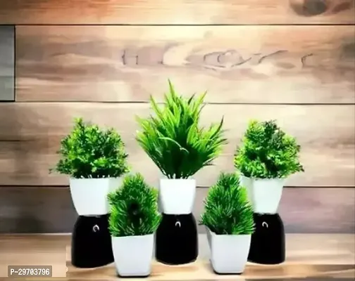 Beautiful Artificial Plant With Pot For Interior Decoration Pack Of 5-thumb0