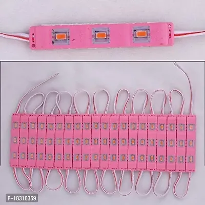 Cloudsale 3LED Strips 12V Waterproof and Adhesive 5630/5730 LED SMD Injection 20 Module with 12 Volt Adaptor Driver (Pink)