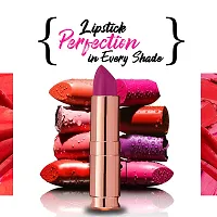 PERPAA Antique Velvet Stick Lipstick, Enreached with Jojoba Oil, Shea Butter Pack of 4 Lipsticks, Shade-Pink,Nude,Brown,Maroon Pink-thumb3