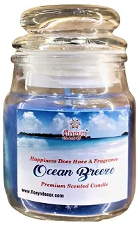 Floryn Decor Cookie Jar Scented Candles | Best Scented Candle (Sea Breeze, 100 ml)-thumb1